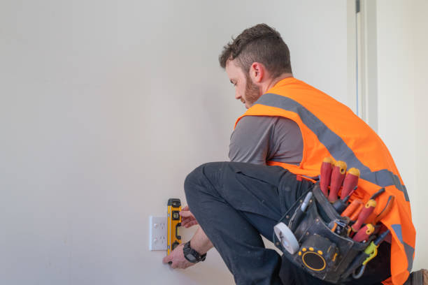 Best Electric Panel Repair  in Eagleview, PA